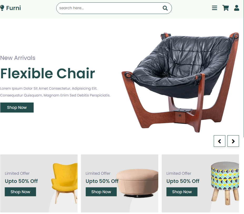 Furniture Website 