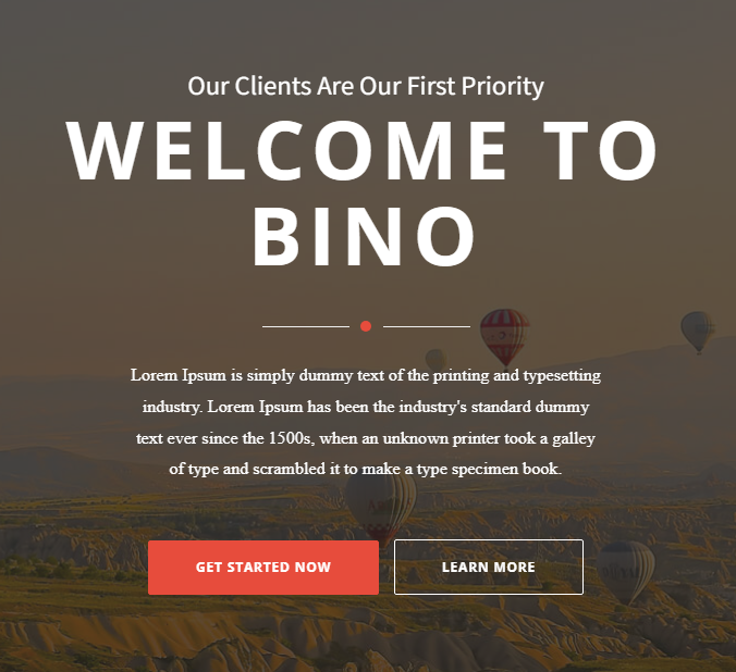 Business Service - Bino