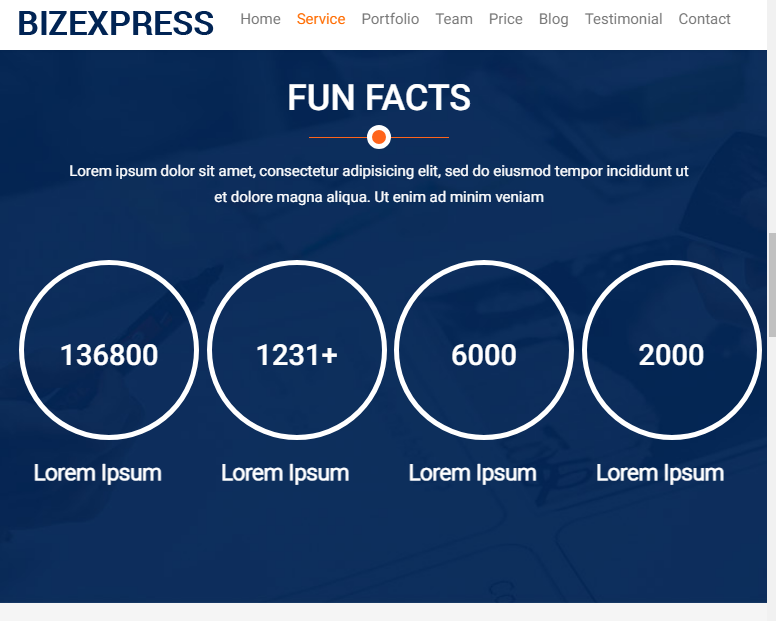 Business Service - Biz Express