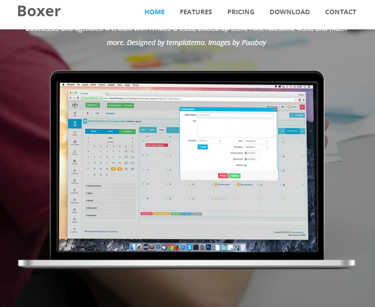 Agency Service - Boxer