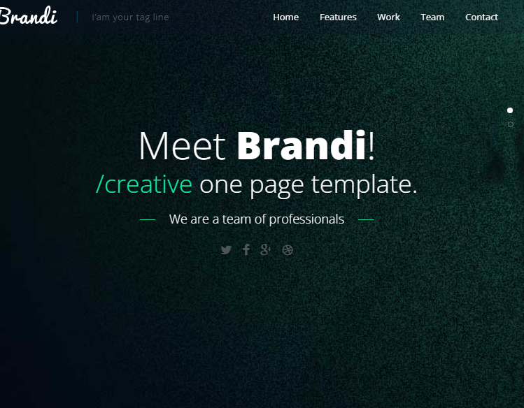 Personal Website - Brandi 