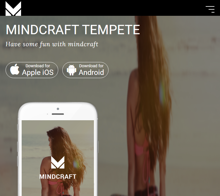 Mind Craft